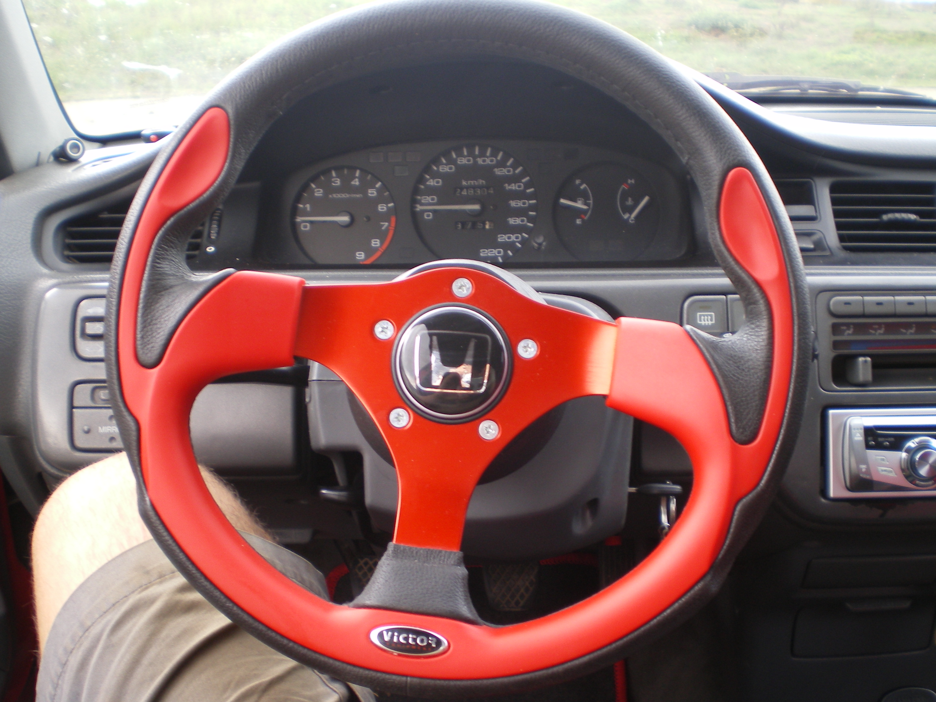 IMGP0710.JPG